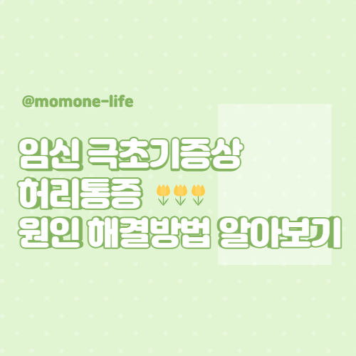  임신 극초기증상 허리통증 원인 해결 방법 알아보기