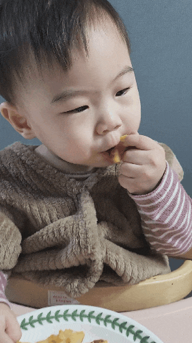  노계란 레시피로 만드는, 코티즈치즈 케이크
