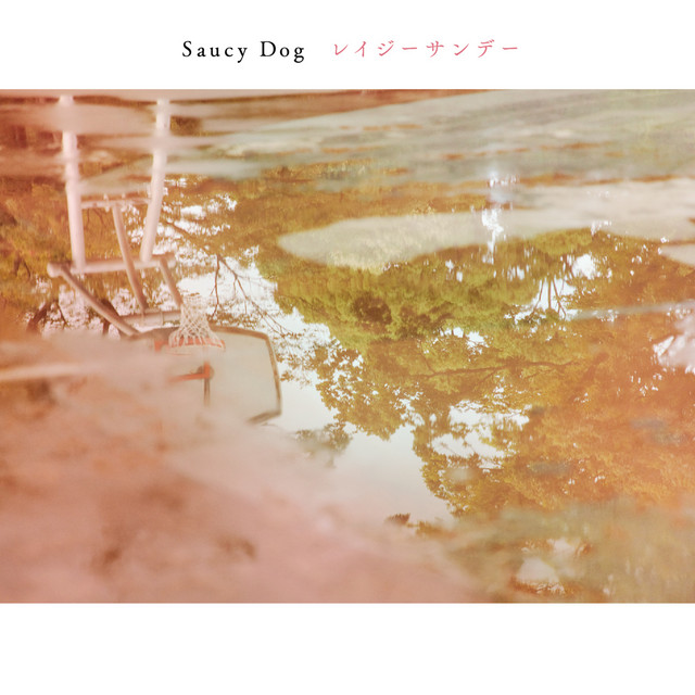 #026 발견한 음악ㅣSaucy Dog(사우시 독), 신데렐라보이(シンデレラボーイ) 가사 & 해석 "0시와 신데렐라 보이"