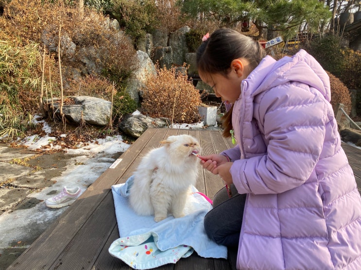  커피 한 잔의 여유가 있는 주말