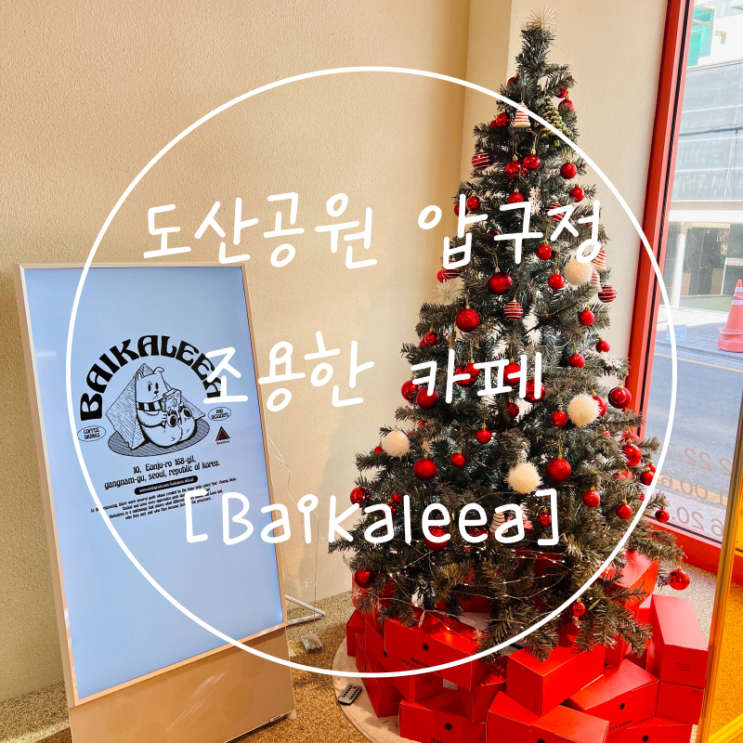  도산공원 커피 맛집 압구정 조용한 카페 빨간 태양 바이칼리아