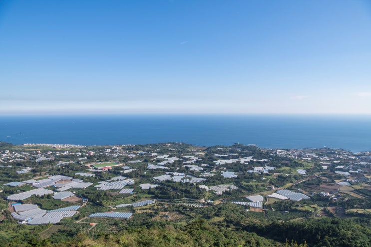 제주도 군산오름 제주도 오름 추천 5/8