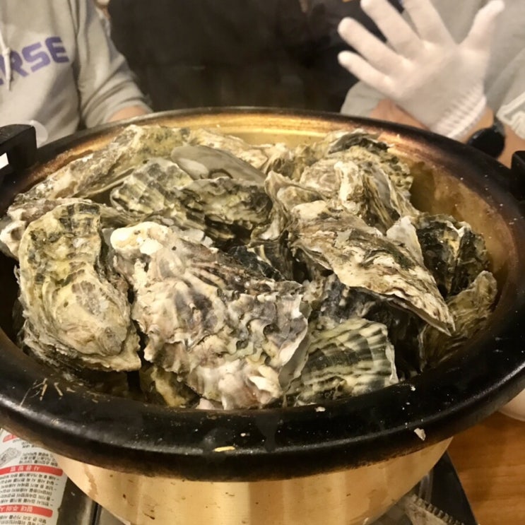 겨울별미 석화찜 신방동 먹자골목 미스터오징어 / 천안식후감