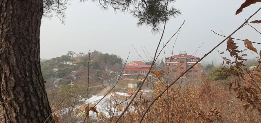서설미산 사진 4
