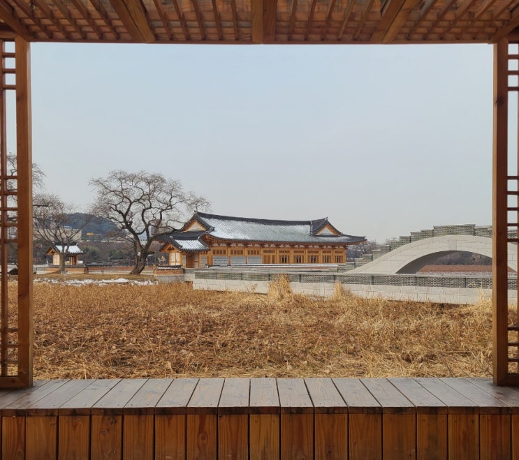  전주 가볼 만한 곳, 전주 덕진공원의 겨울 풍경