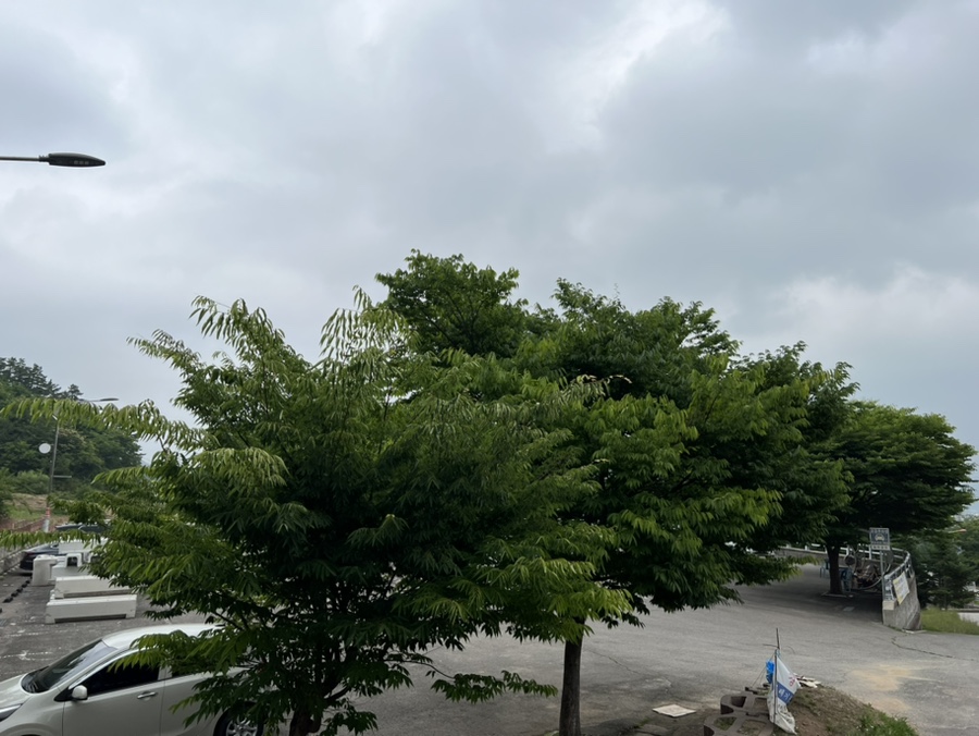 수원순대국 사진 3