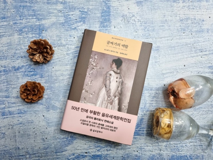  오노레 드 발자크 세계고전문학 골짜기의 백합,연애소설 반전소설