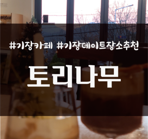  부산 기장 아홉산 숲 근처 분위기 좋은 카페 토리나무 _ 내돈내산