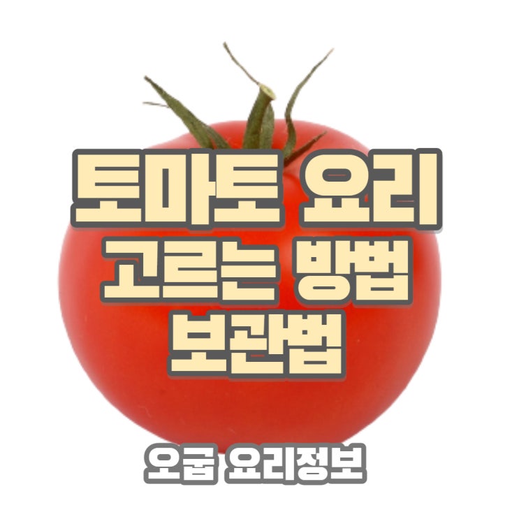  토마토는 상온보관 인가요 ? 고르는 방법 보관 법 관련 요리