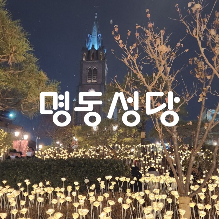명동 놀거리 데이트 코스로 좋은 명동성당, 서울 야경 명소