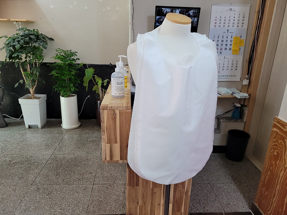 심마니친구가따오는 무등산버섯 사진 5