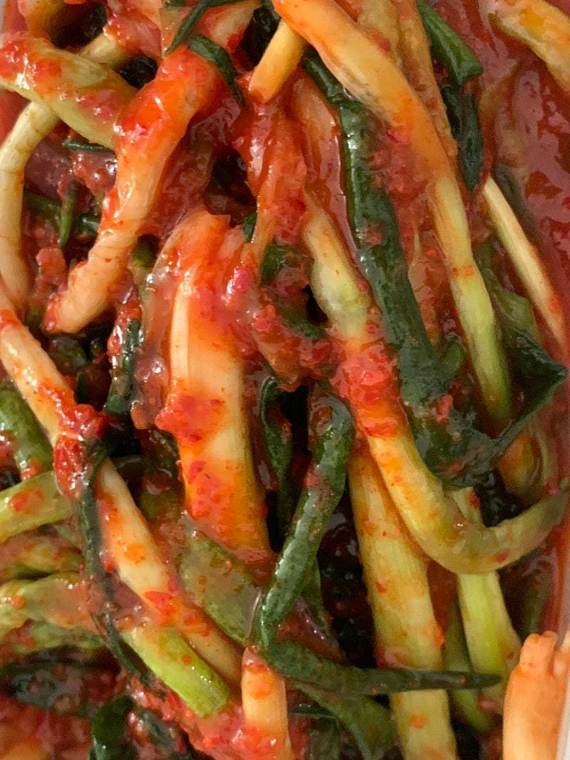 종가집 비비고 파김치 비교 어떤 파김치가 맛있을까?