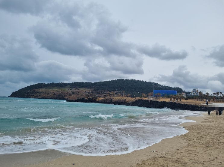  제주도 첫번째 관광지 함덕해수욕장 방문 리뷰!!