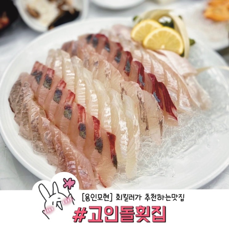  ［용인 모현］ 고인돌 횟집 (회킬러가 추천하는 회맛집) 후기