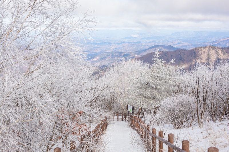 설경이 아름다운 겨울산 추천 소백산 등산코스 : 네이버 블로그