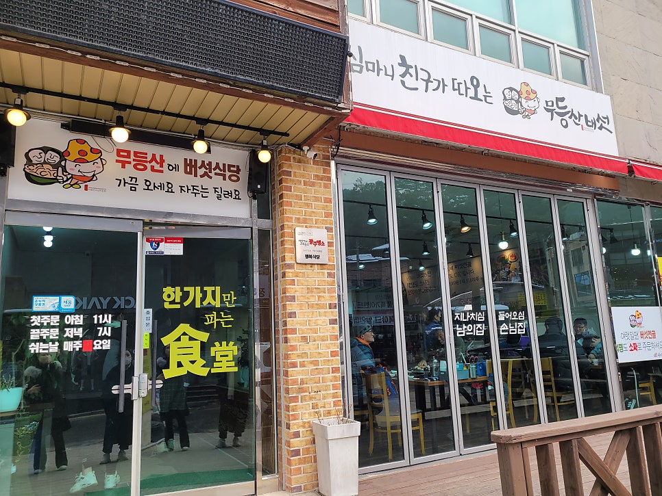 심마니친구가따오는 무등산버섯 사진 2