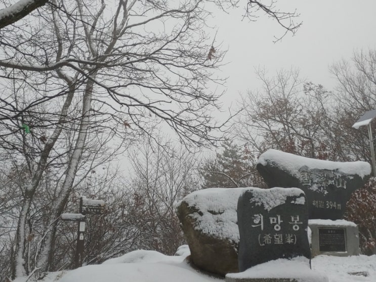 밤새 내린 눈과 안개가 어울린 오늘아침 설봉산 밤새 내린 눈과 안개가 어울린 오늘아침 설봉산
