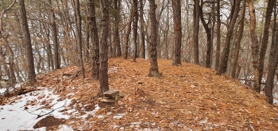 서설미산 사진 2
