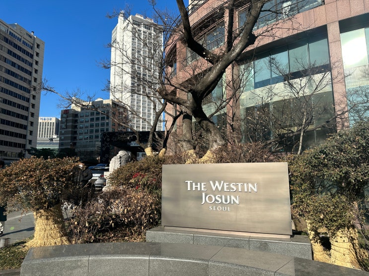  웨스틴 조선호텔 서울 (The Westin Josun Seoul) 객실