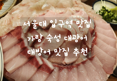  [서울대입구역 맛집] 맛있는 대방어를 함께 먹을 수 있는 봉천동 가람 숙성 대광어 횟집 추천 / 내돈 내산 내먹
