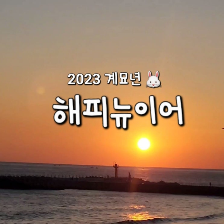  2023 해피뉴이어 & 위글위글