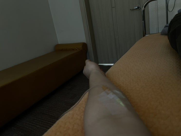  A형 독감에 걸린 후 드는 단상