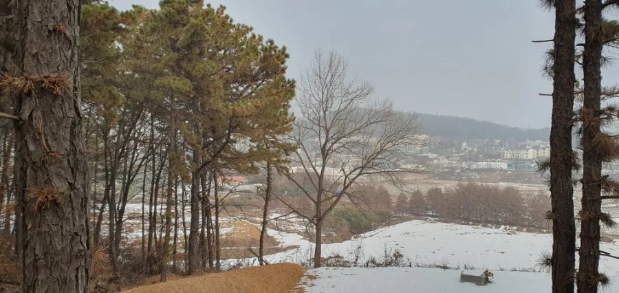 서설미산 사진 3