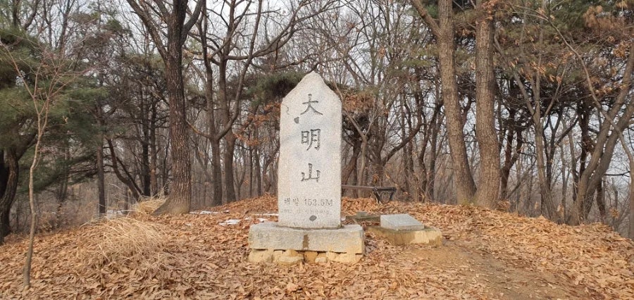 서설미산 사진 6