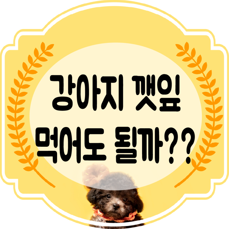  강아지 깻잎 먹으면 안되는 음식 이란사실 아셨나요??