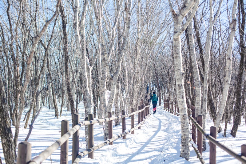 설경이 아름다운 겨울산 추천 소백산 등산코스 : 네이버 블로그