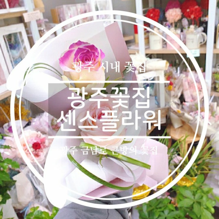  광주 충장로 꽃집, 센스플라워 장미꽃한송이 선물