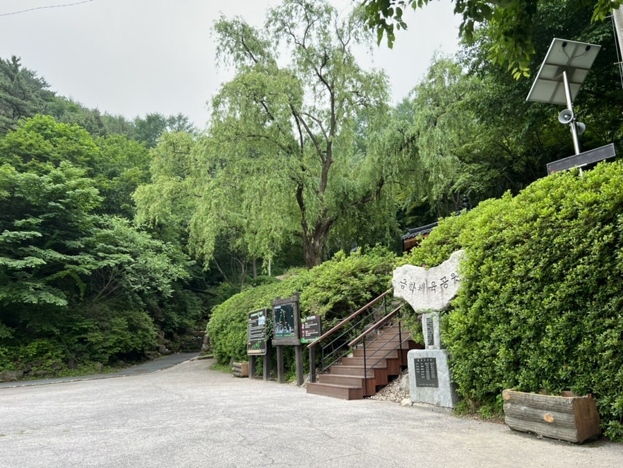 수원순대국 사진 5