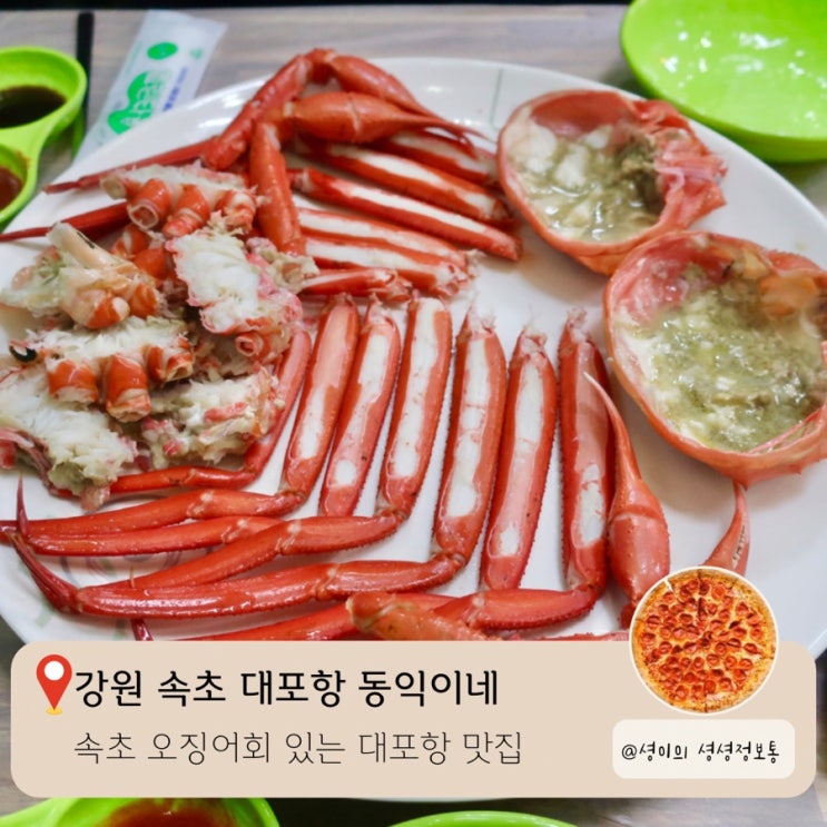  속초 대포항 오징어회 있는 곳 난전활어시장 19호 동익이네 홍게 맛집 대포항어촌계관광수산시장