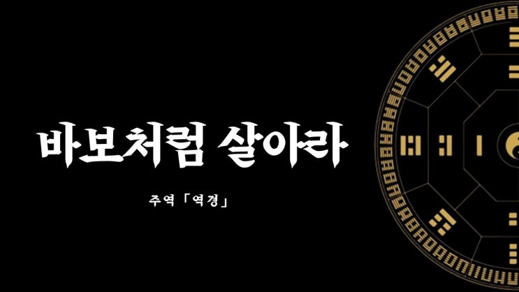 바보처럼 살아라 바보처럼 살아라