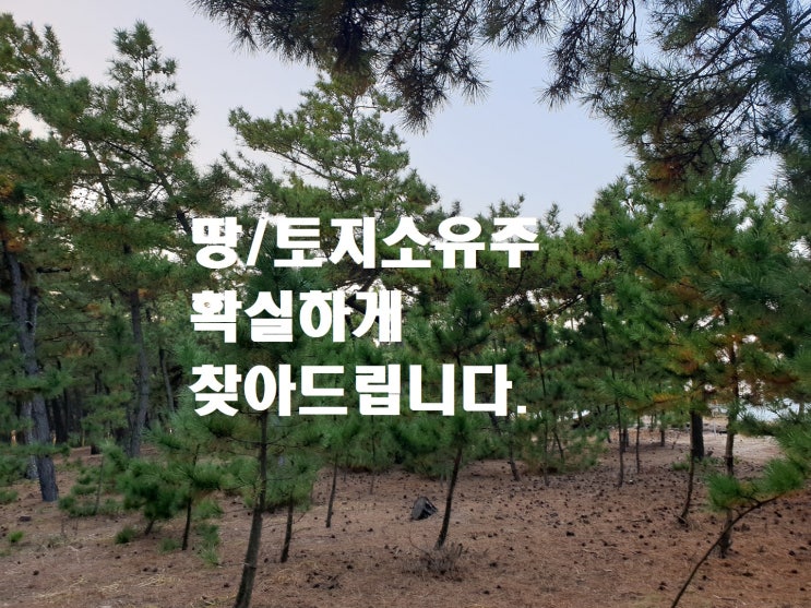  개인도로사유지  땅주인 주인 없는 토지 도로 주인  찾기