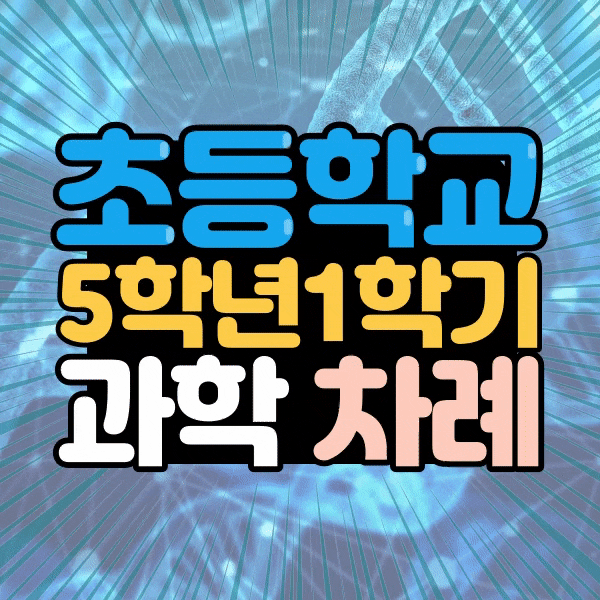  초등 5학년 1학기 과학 교과서 목차 뭘 배우나요