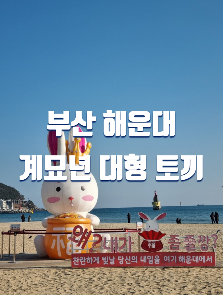 1월 부산 가볼만한곳 해운대 계묘년 대형 토끼