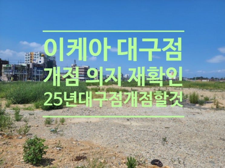 이케아 대구점 개점 의지 재확인 '2025년 대구점 개점할 것'