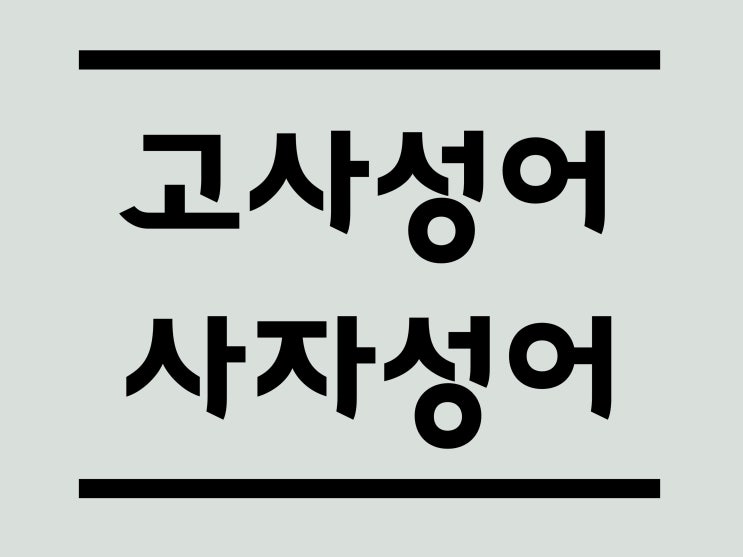 고사성어 추천도서 초등사자성어에 [마법천자문 고사성어] 내돈내산!
