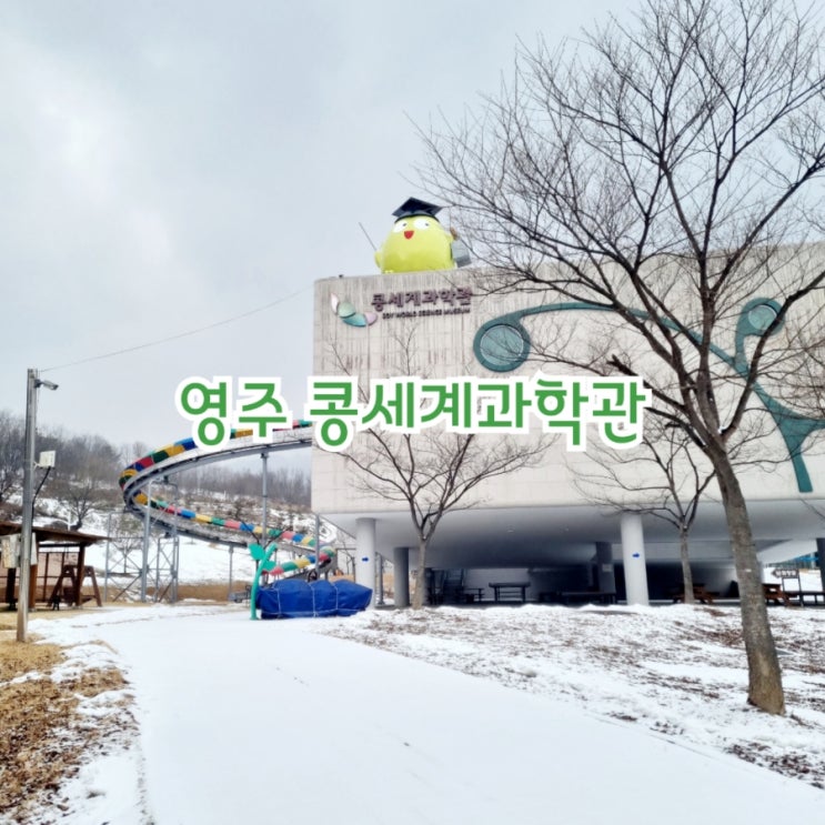  영주가볼만한곳 콩세계과학관 feat 콩박물관