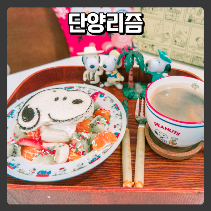  단양가볼만한 소품샵 단양이색카페 - 단양리즘