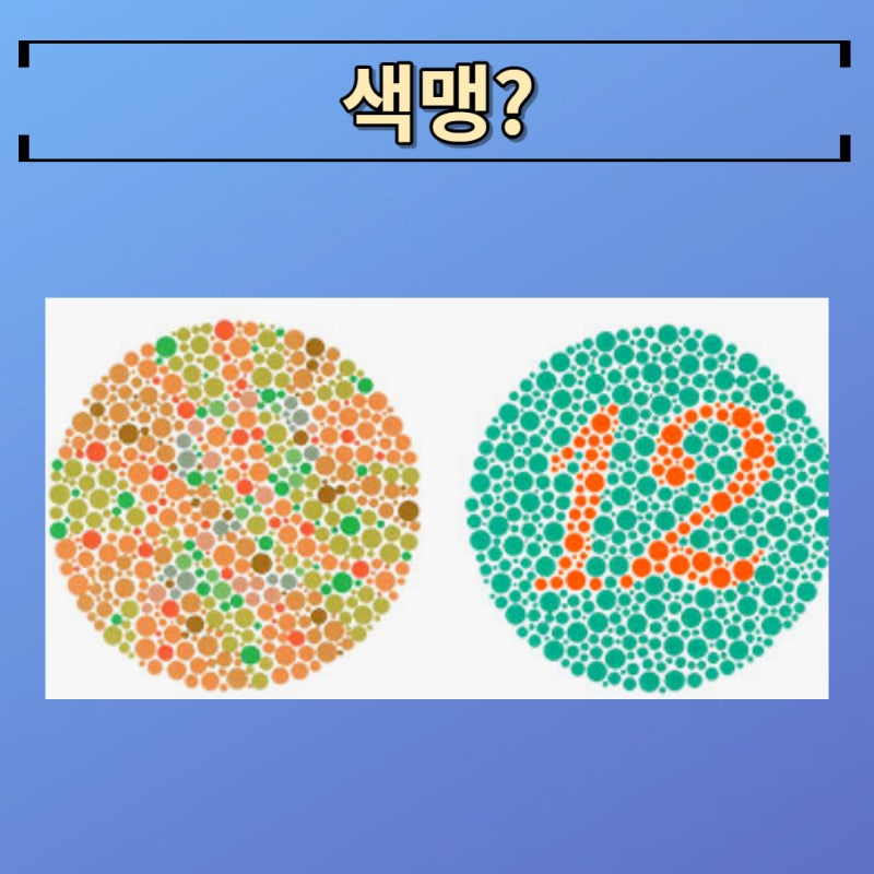 색약 색맹 유전 가능성과 차이점 알아봐요 : 네이버 블로그