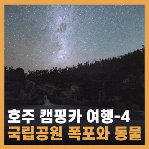  호주 캠핑카여행 - 퀴암발 국립공원 캠핑, 호주 바오밥나무와 캥거루