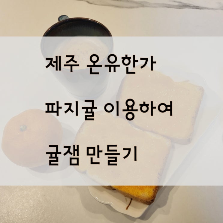  제주 온유한가 노지귤 파지귤 이용한 귤잼 도전