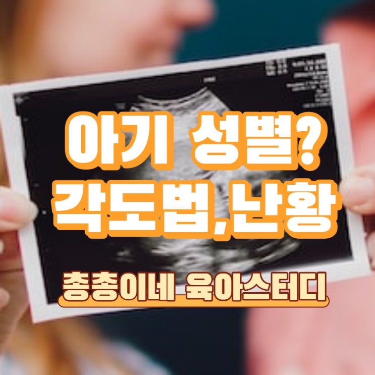  12주차 14주차 아기 성별 각도법 난황 태반 위치 초음파 확인법