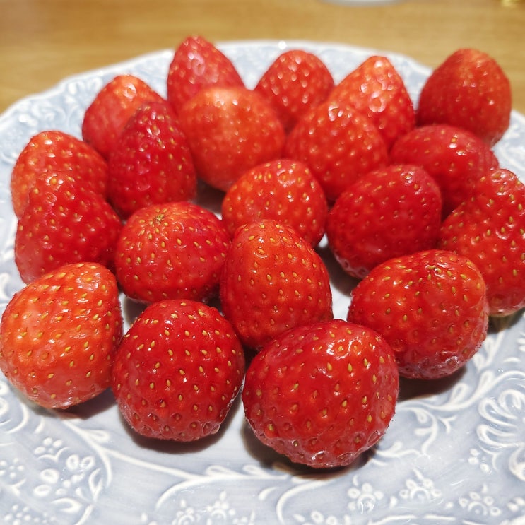  1.2-1.8 이번주 일상