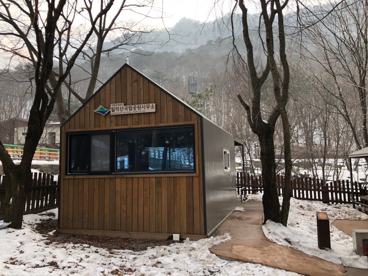 제천 월악산국립공원 닷돈재 풀옵션캠핑존 솔막 겨울 방문