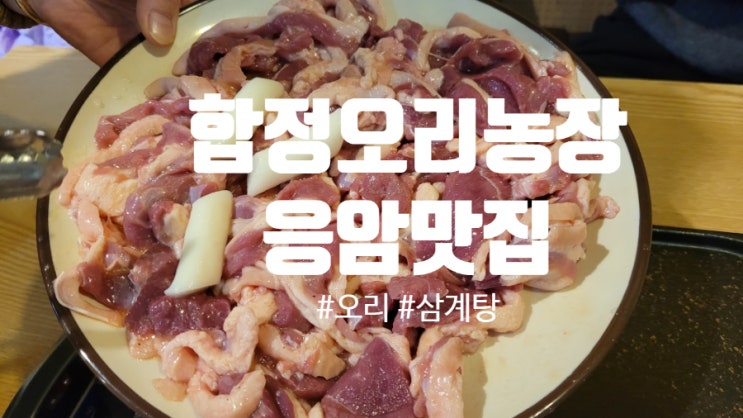  합정오리농장 응암역맛집에서 몸보신 제대로
