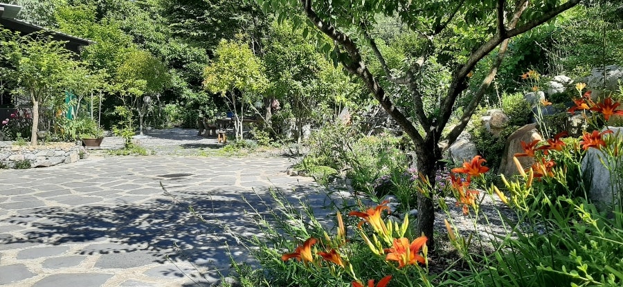 정펜션 사진 2