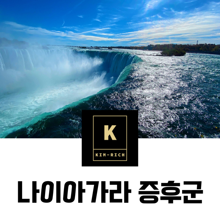  나이아가라 증후군